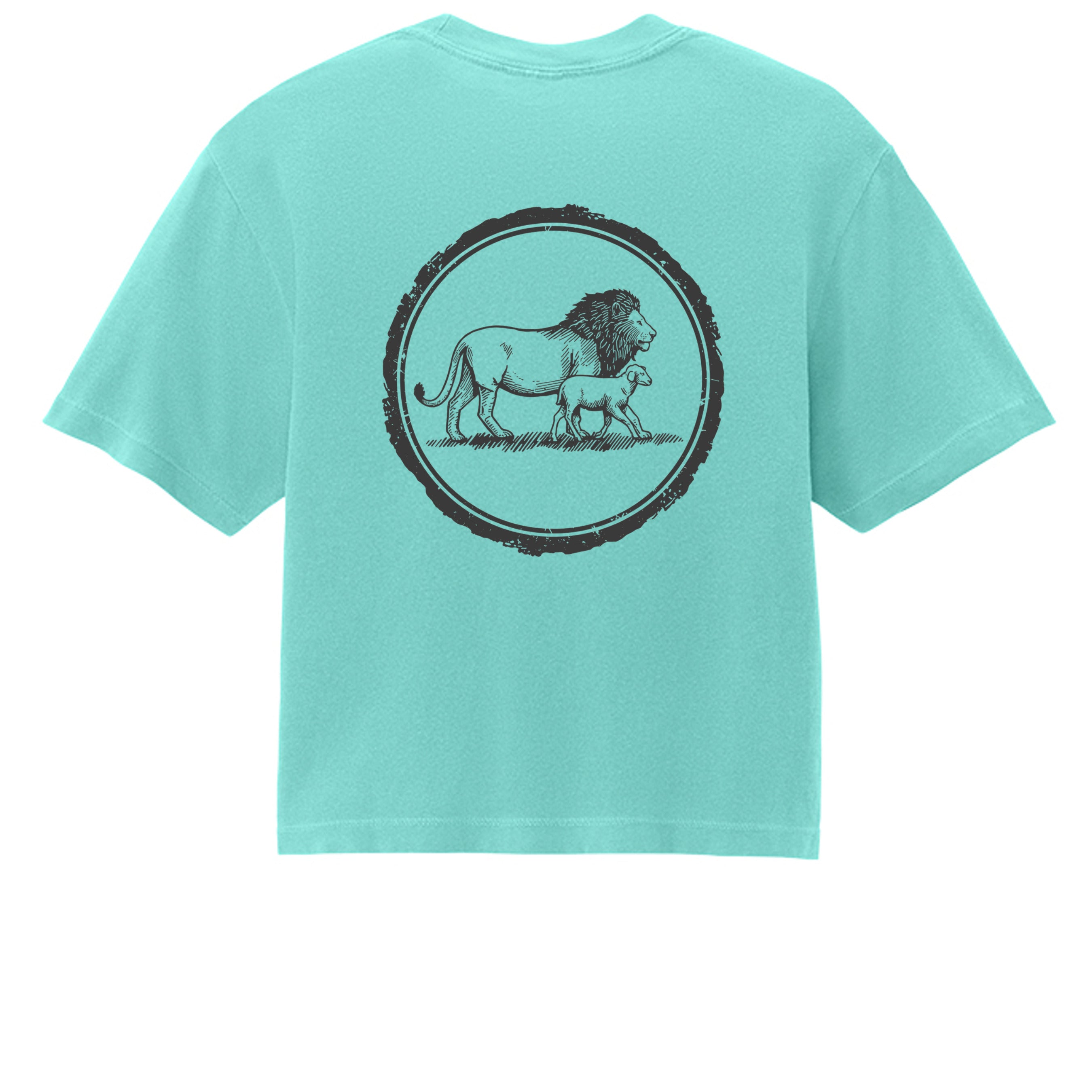 Chalky Mint - 3023CL - BACK