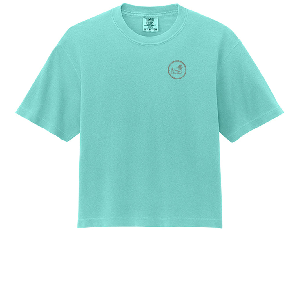 Chalky Mint - 3023CL - FRONT