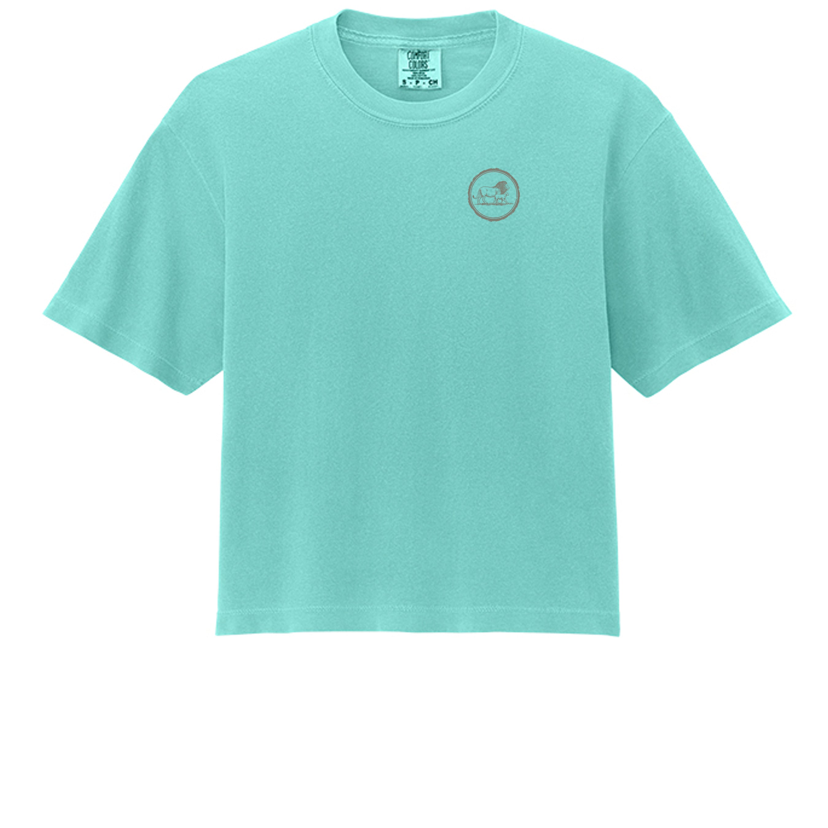 Chalky Mint - 3023CL - FRONT
