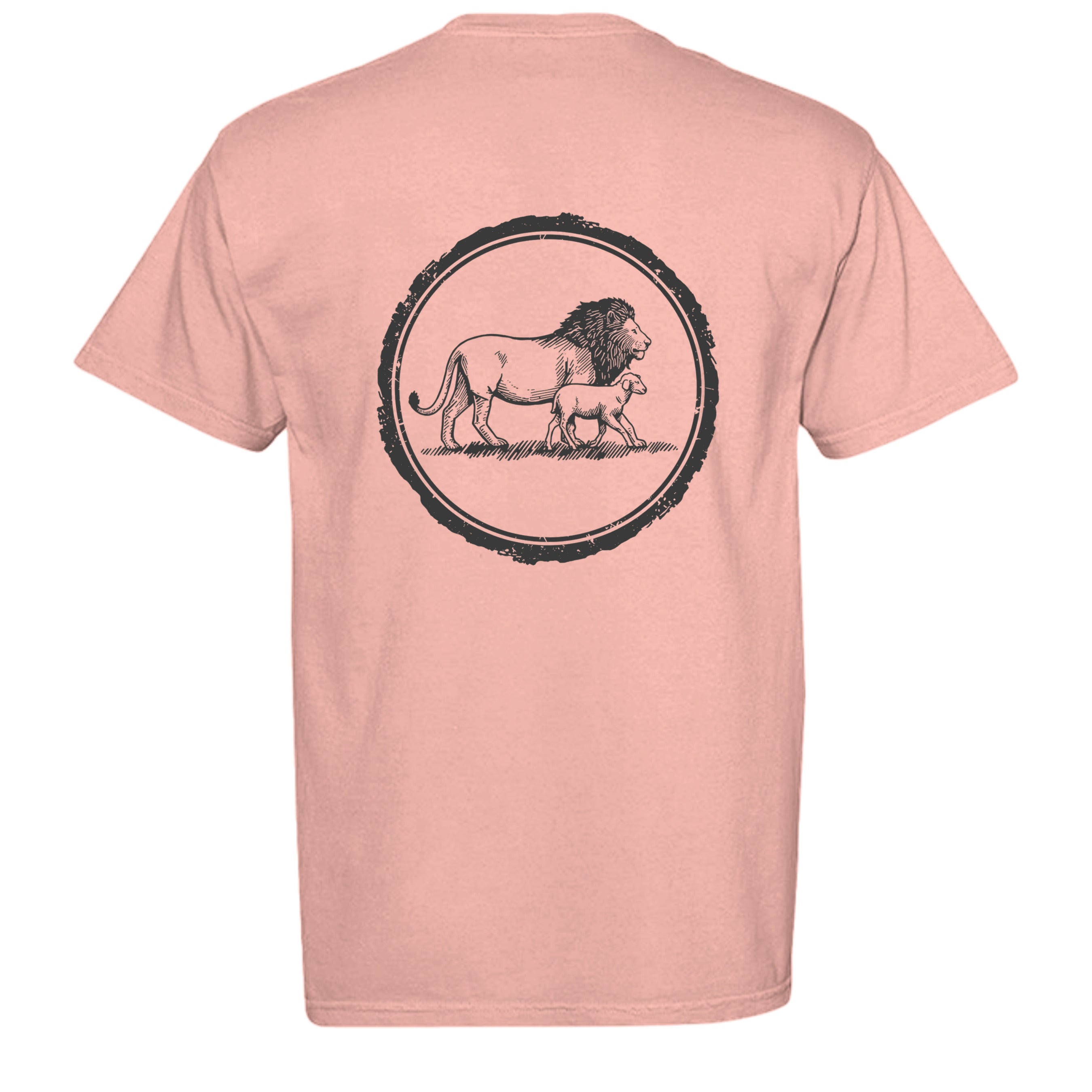 Peachy - C1717 - BACK