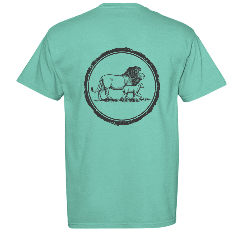 CHALKY MINT - C1717 - BACK