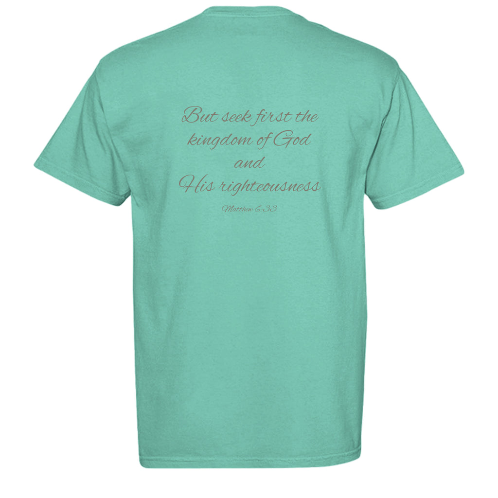 CHALKY MINT - C1717 - BACK
